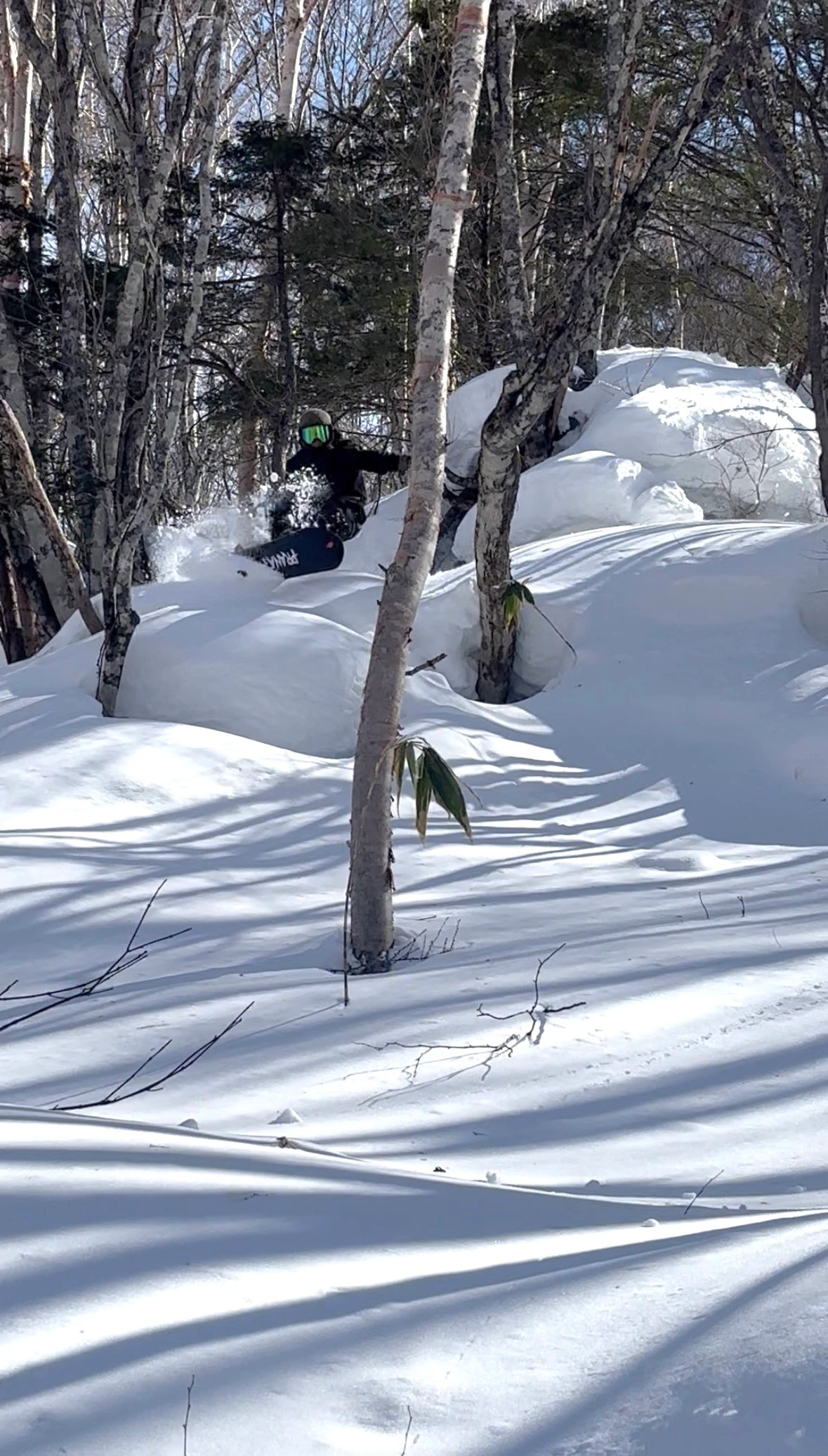 Hinata Atsuumi - Freeride World Tour Athlete