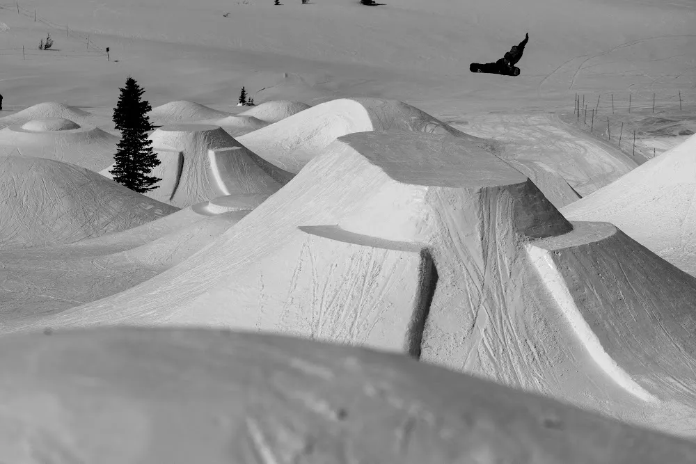 Ichinoshin Maruyama - Freeride World Tour Athlete