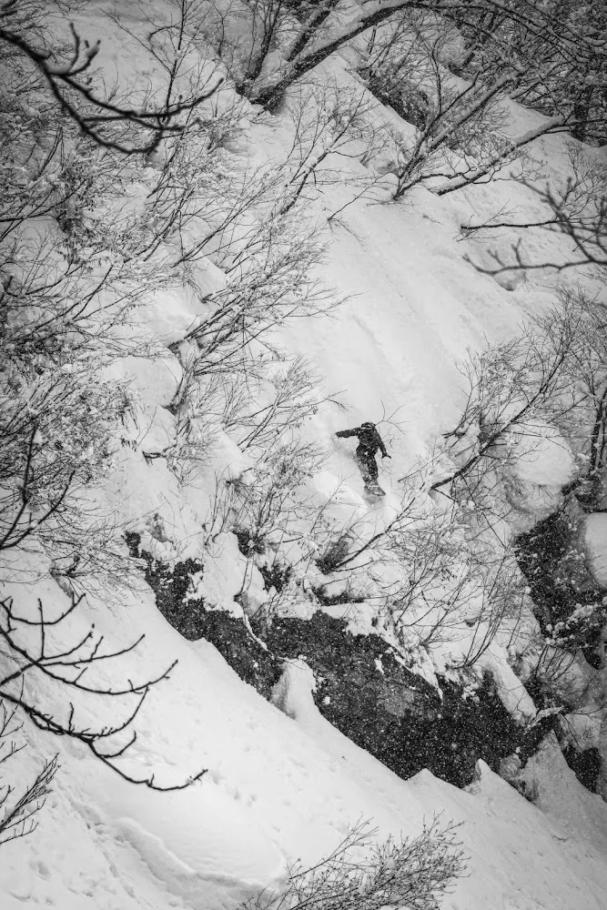 Link Yanagihara - Freeride World Tour Athlete