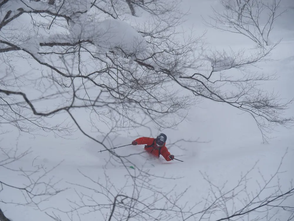 Ryoya Takashima - Freeride World Tour Athlete