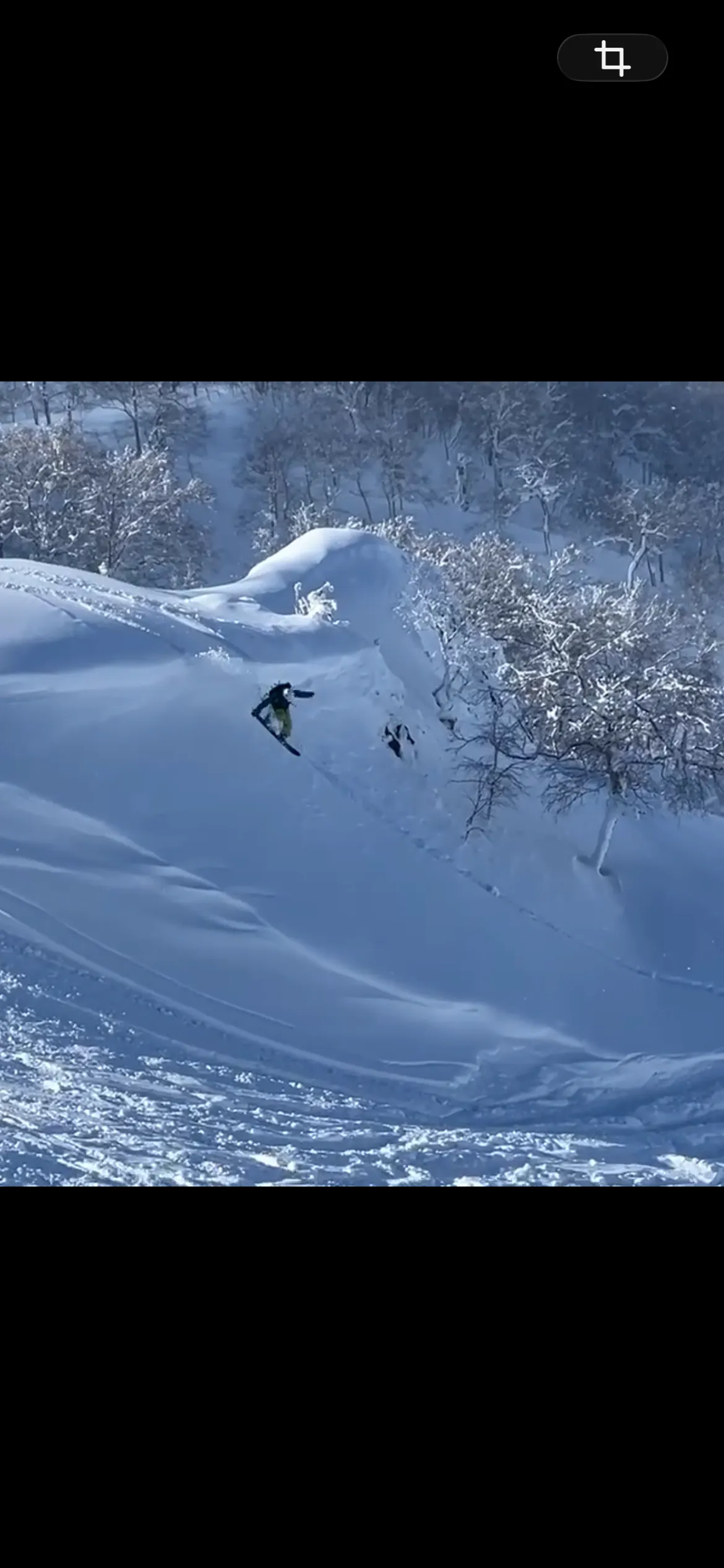 yukino torimoto - Freeride World Tour Athlete